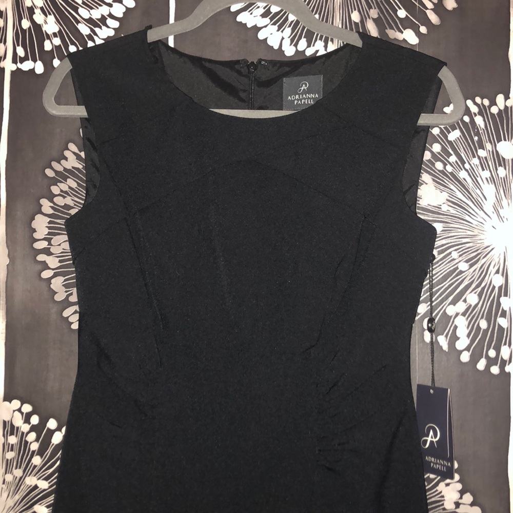 Adrianna papell dress